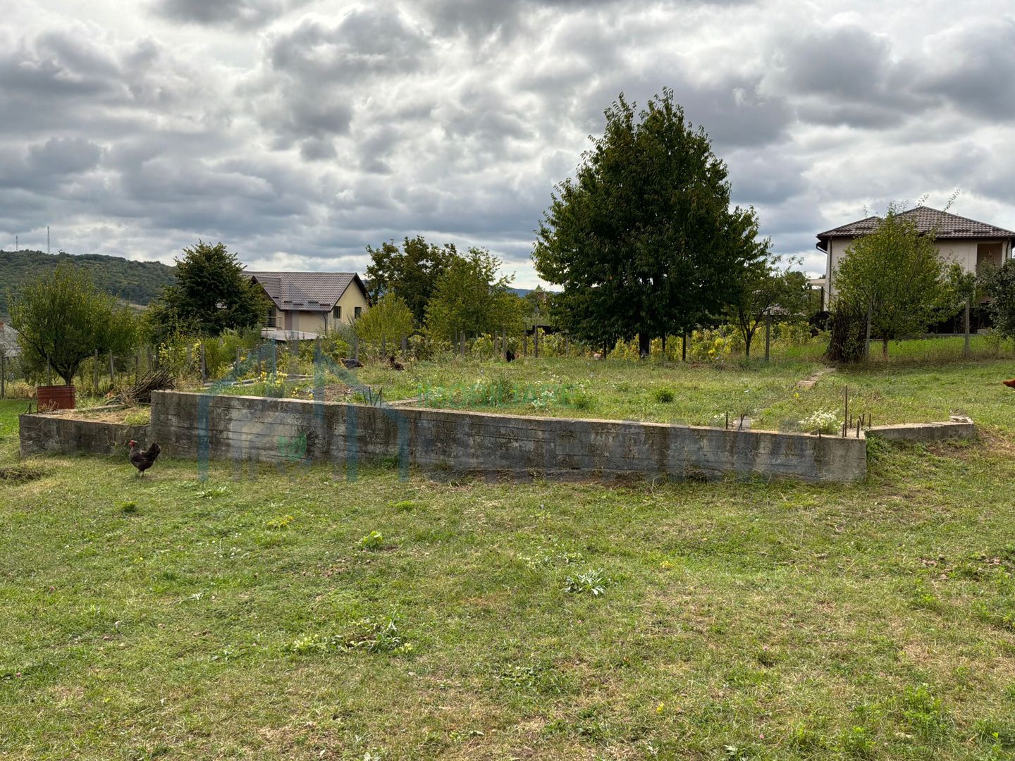 Teren cu temelie de casă 130 m2, strada Brutarilor nr. 177, Dumbrava, Ciurea, Iași - Poză 2