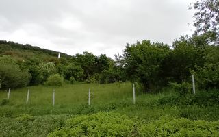 Teren intravilan | Budiu Mic | 994 mp - Poză 4