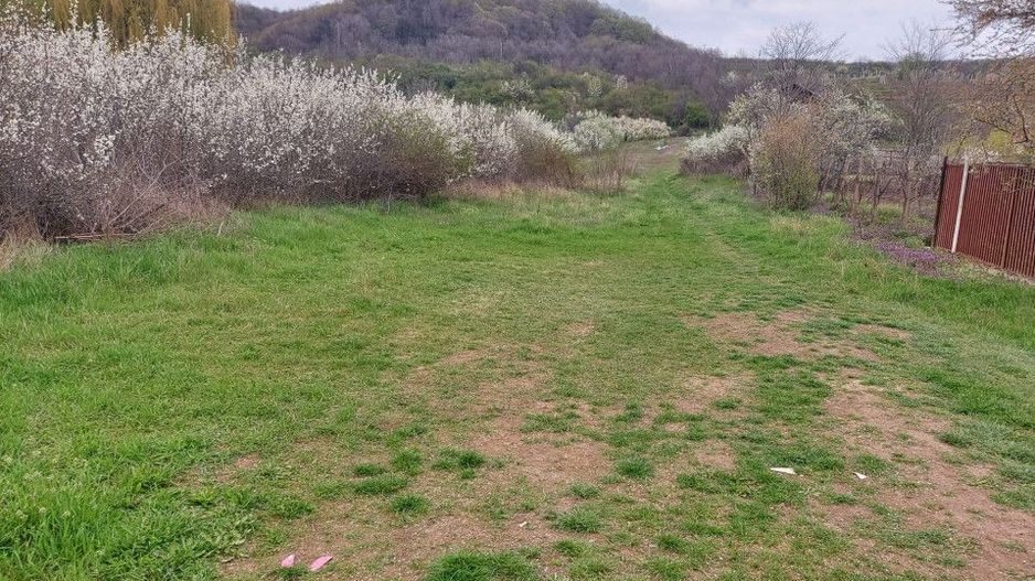 Teren Topoloveni - 3670 mp - langa padure, aproape de Centrul orasului  - Poză 2