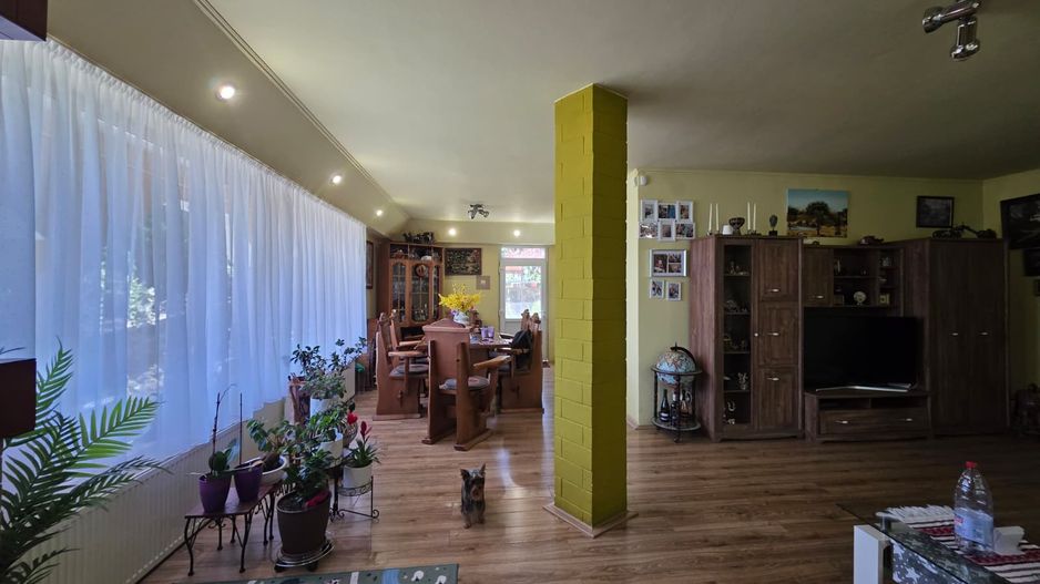 PROPRIETATE PREMIUM CU 4.534 MP TEREN- REGHIN STRADA POMETULUI - Poză 12