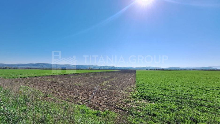 Teren extravilan, 8700 mp, pretabil agricultură sau investiție - Bod - Poză 5