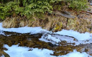 8.263 mp Teren cu Pârâu și Izvoare în Beliș-Fântânele, Cluj - Poză 9