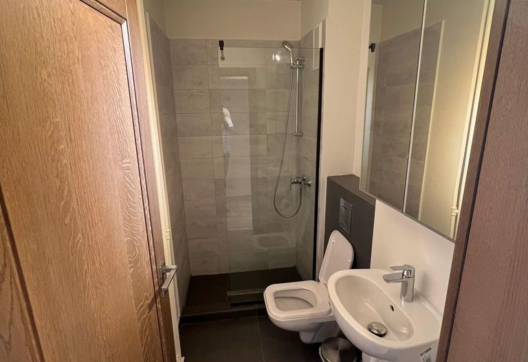 Apartament Palatul Parlamentului/Fântâni - Poză 6