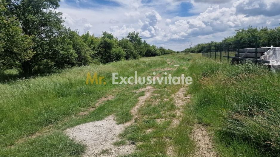 0% Comision!!! Teren intravilan Smeura - str Prunilor! - Poză 6