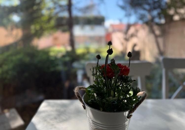 Braytim | 4 camere | 140 mp | Teren 337 mp | Garaj | Panouri FV - Poză 3