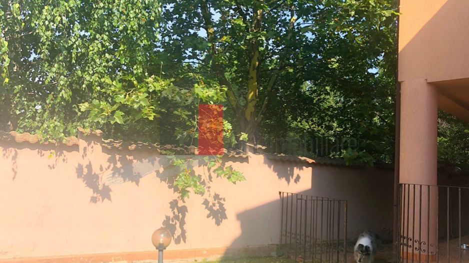 Casa OTOPENI - Poză 2