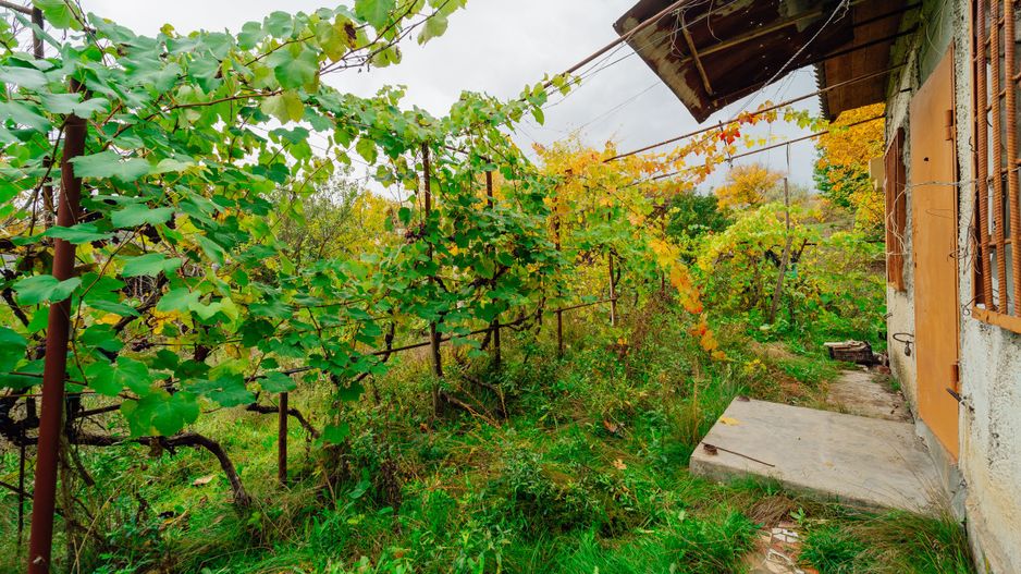 Lot pomicol de 6 ari în Ialoveni, cu construcție auxiliară. - Poză 15