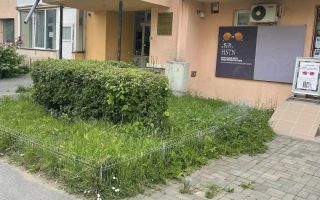Spatiu comercial I Parter I Vad Pietonal I Mihai Viteazul - Poză 3