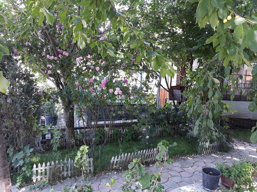 Teren intravilan cu hală și căsuță de vacanță, Vladiceni, Iași - Poză 6
