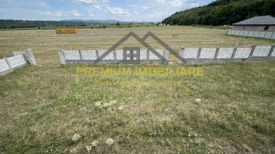 Casa Cartier Andrasesti - la rosu - Poză 3