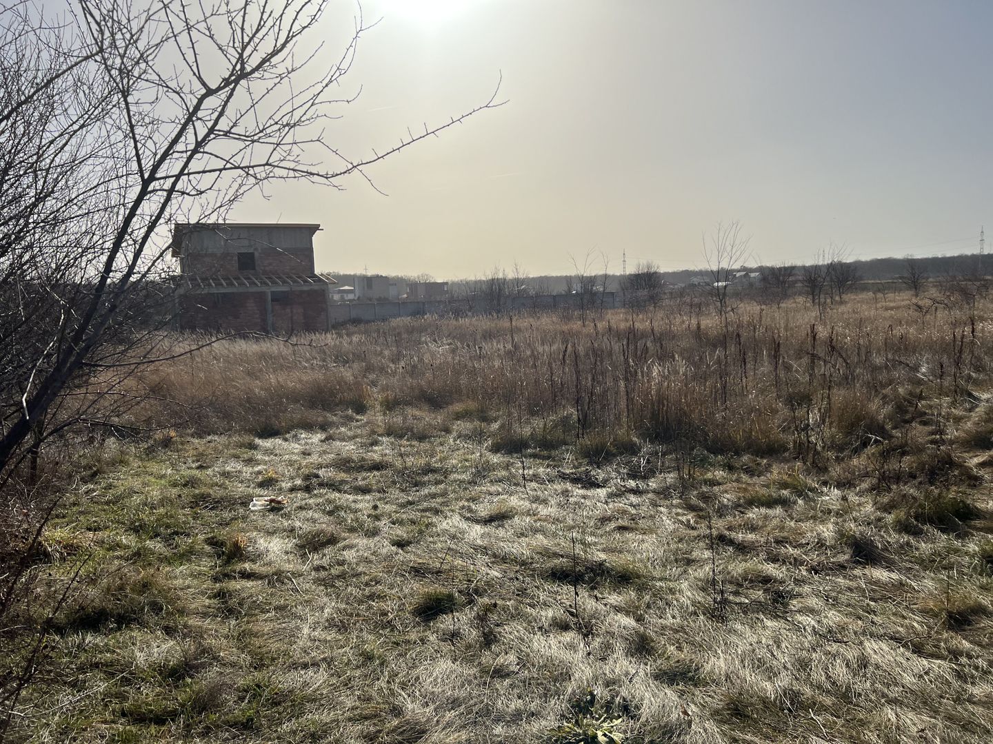 Teren Balotesti - Privighetorilor (Parcului Edenland) - Poză 1