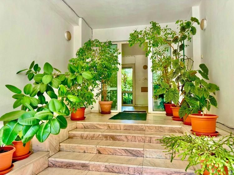 Hochparter generos de vanzare|  langa Parcul Herastrau - Poză 5