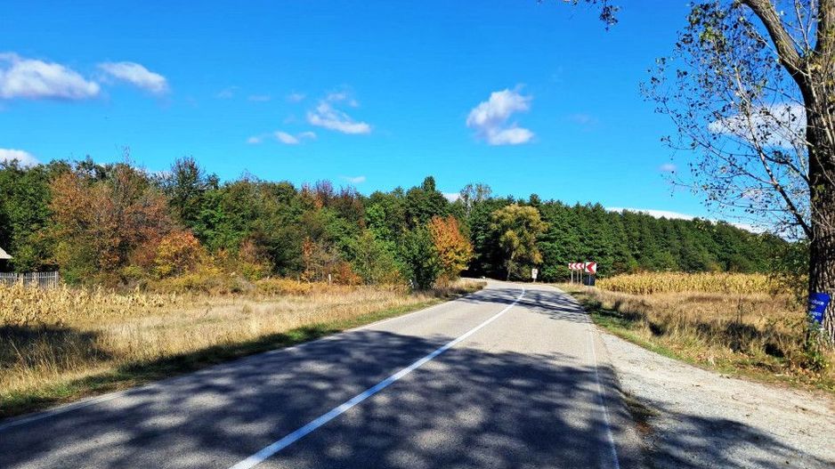 TEREN INTRAVILAN ȘI EXTRAVILAN BAIA DE FIER - Poză 9