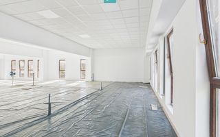 Spații Comerciale între 70 și 350 mp în Dumbrăvița - Poză 3