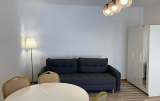 Apartament 2 camere, Victoriei - zona Pronto