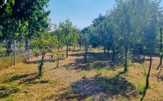 BG131-Teren: 2.822 mp pentru Proiect Imobiliar Premium COMISION 0% - Poză 5