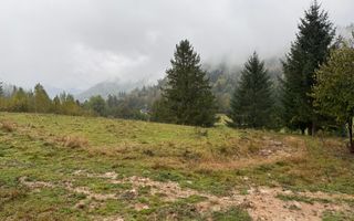 Teren Extravilan | 6.100 mp | Brodina | 41.500 € negociabil - Poză 7