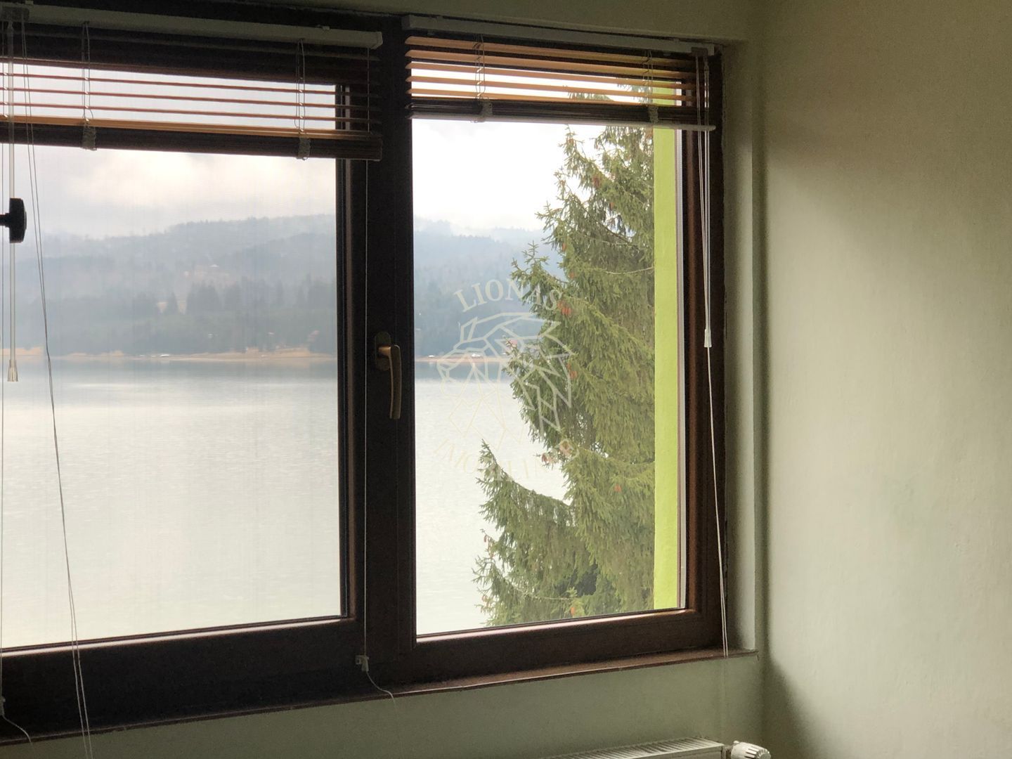 Casa de vacanta 200 mp-deschidere la Lac Colibita-EXCLUSIVITATE - Poză 9