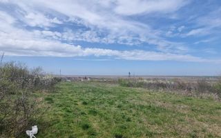 Teren cu vedere la Delta Neajlov - Poză 3