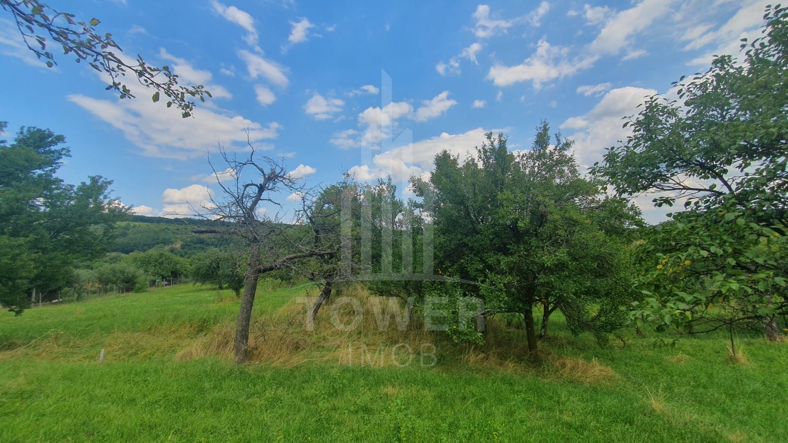 Teren de vanzare in Sibiel . - Poză 5