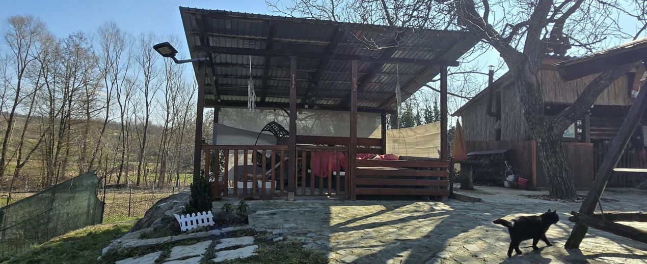 Proprietate de excepție în Lelești – la doar 8 km de Târgu Jiu - Poză 38