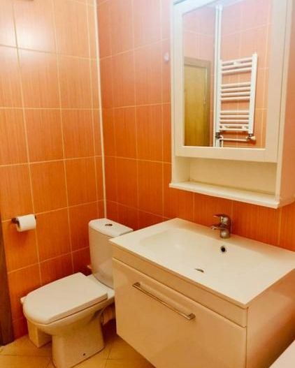 De inchiriat 2 camere decomandat, vedere Dambovita, 2 AC,  Unirii - Timpuri Noi - Poză 10