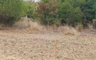 Teren intravilan, 527 mp, deschidere la strada de 17 mp_Teghes (Domnesti) - Poză 3