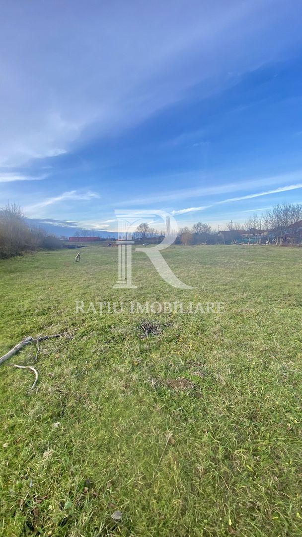 EXCLUSIV | TEREN INTRAVILAN | INVESTIȚIE | BEIUȘ – STR. PLOPILOR | 13.500 MP - Poză 5
