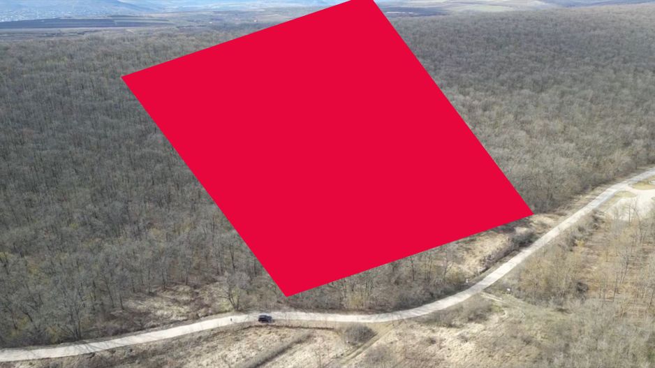 Pădure de vânzare - 2 Ha pentru Agroturism - Poză 2