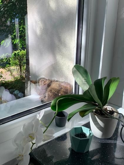 Apartament 2 camere de închiriat, Cornisa, str. Argeșului, Târgu Mureș - Poză 8