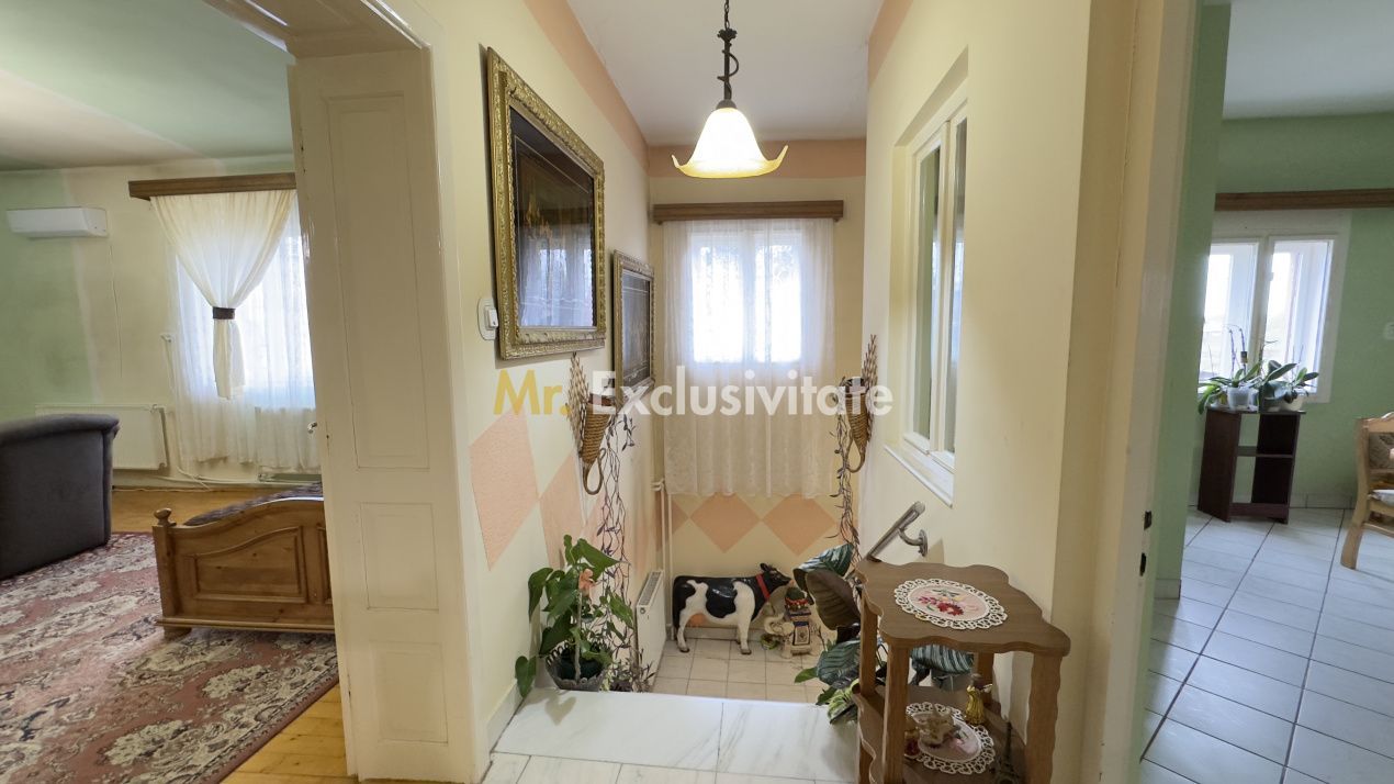Casă 7 camere cu Teren 4.620 mp | Potențial pentru rezidență sau afacere | Carei - Poză 20
