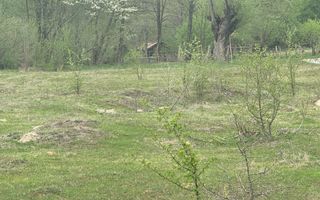 TEREN EXTRAVILAN 40000 MP, ALBESTI DE MUSCEL, CANDESTI - Poză 11