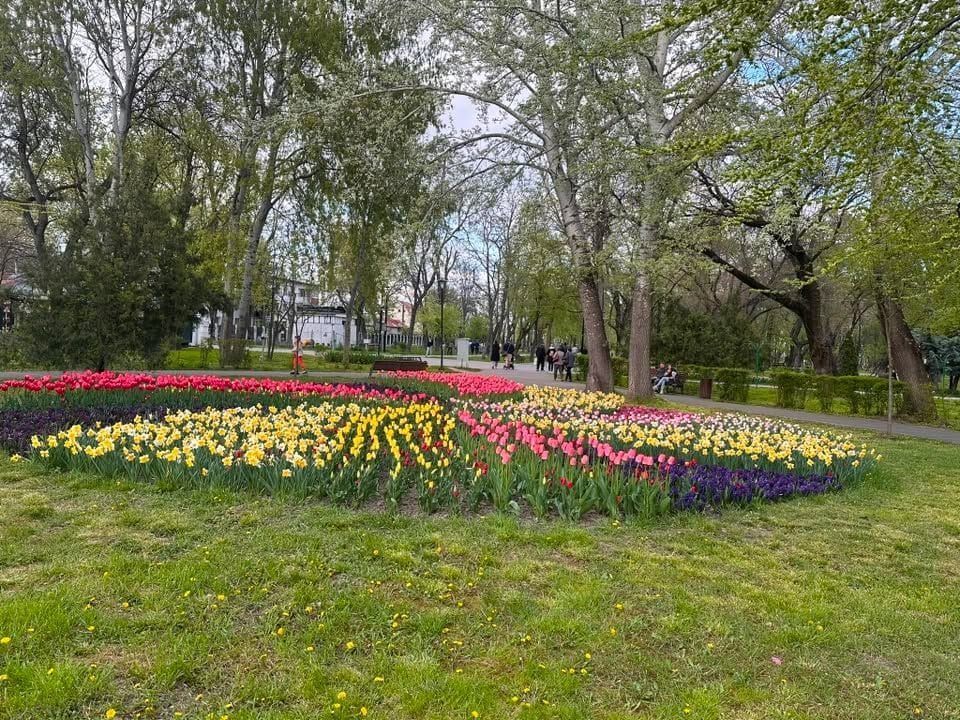 De inchiriat apartament cu 2 camere, etaj 2, Gradina Publica, 400 euro - Poză 1