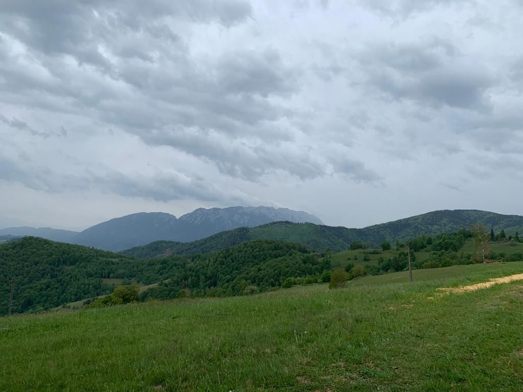 Teren extravilan 2ha, priveliste panoramica spre munti /Poiana Marului - Poză 3