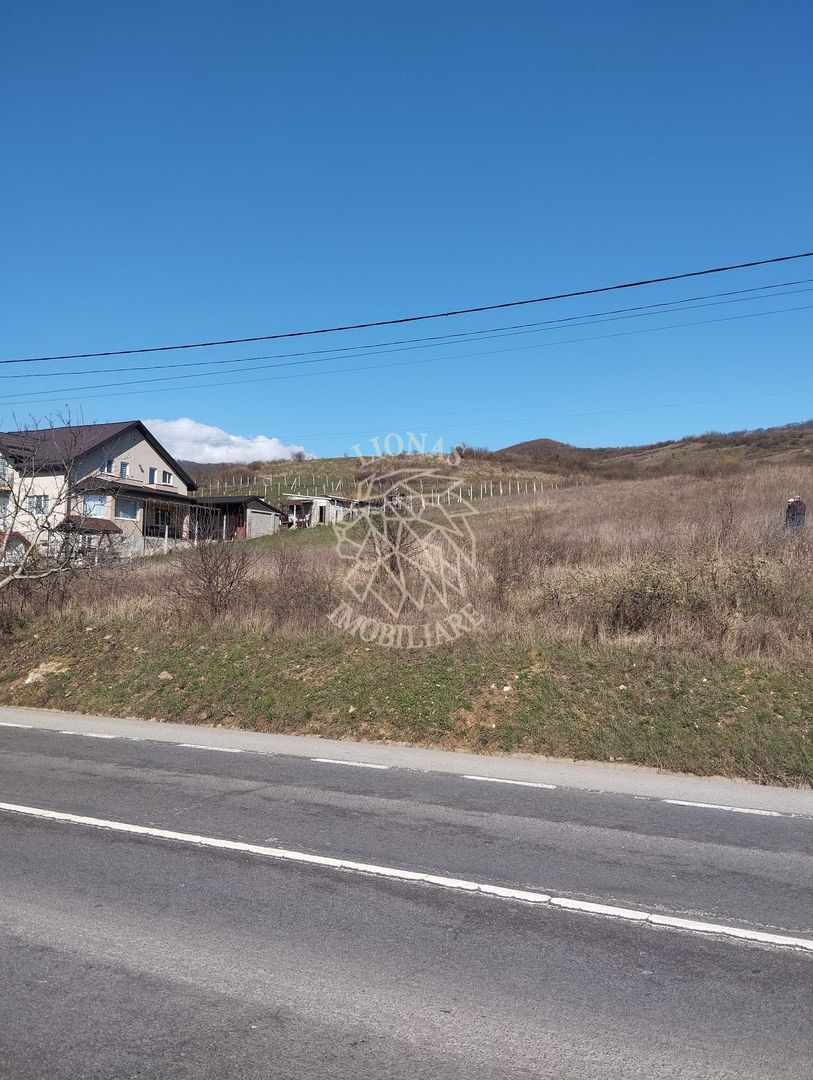 Teren intravilan 3719mp cu utilitati-deschidere la sosea -Crainimat - Poză 1