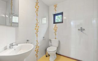 Casa individuala + teren 2.014 mp + livada Mioveni -Colibasi - Poză 7