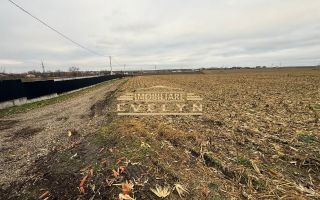 De vânzare terenuri intravilane – Catamărești Deal (după calea ferată) - Poză 2