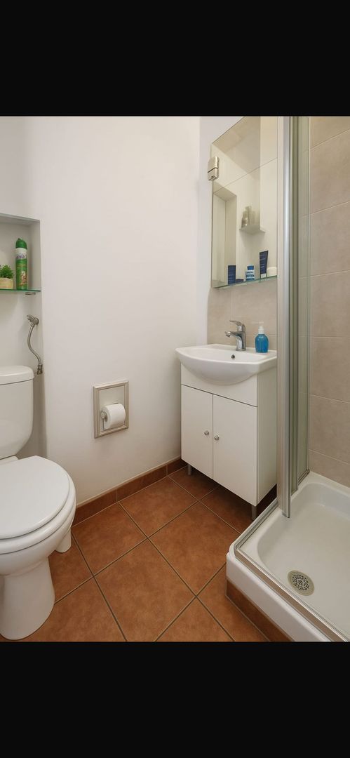 Apartament 3 camere și 2 băi - 69 mp, complet mobilat utilat ! - Poză 10