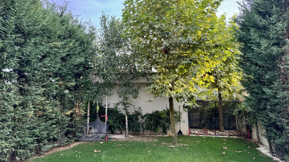 Duplex de inchiriat zona Dumbravita - Poză 3