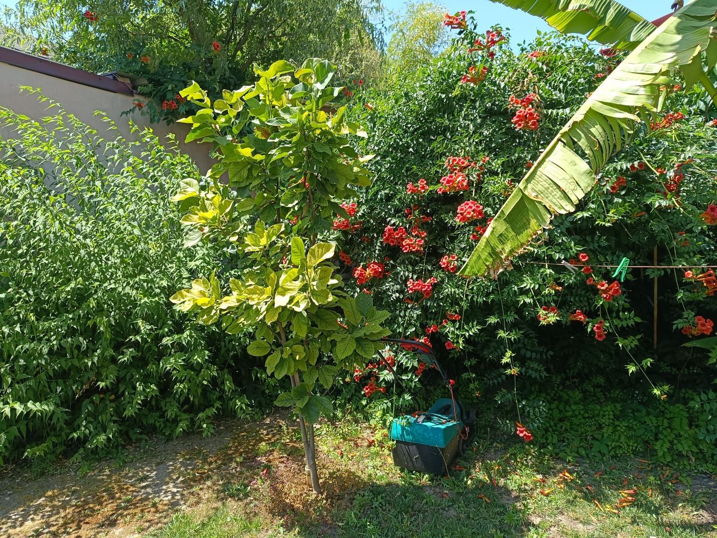 Vila  zona Elisabetin P+2E+M - Poză 7