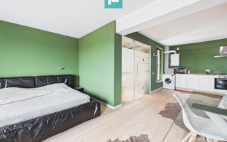 Studio luminos si spatios, Mihai Bravu - Mosilor - Poză 6