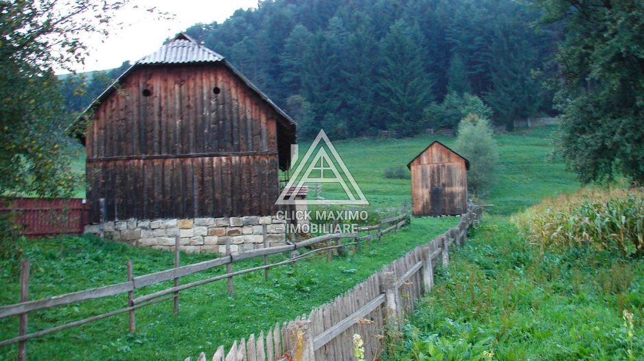 5283 mp TEREN INTRAVILAN IN ZONA MONTANA BUCOVINA, VAMA – SUCEAVA - Poză 6
