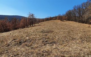 Teren ideal pentru cabana 4165 mp langa padure zona Valea Popii - Poză 1