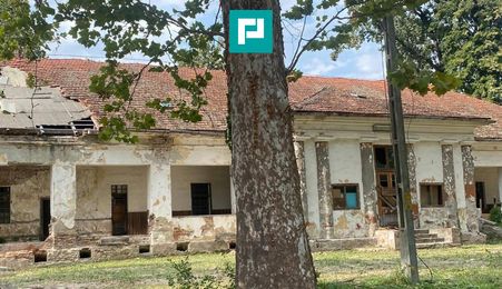 Conac nobiliar de secol XIX cu 8 camere în Maciova