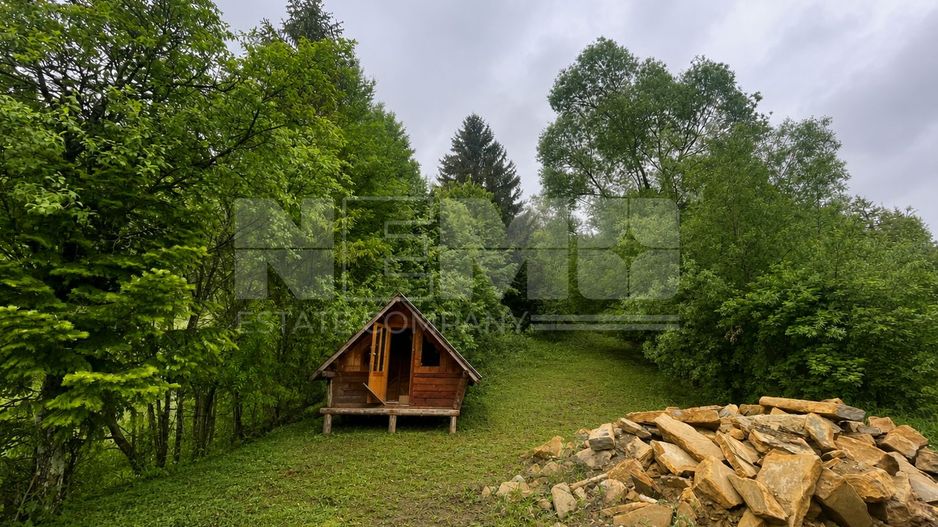 CASA LA ROSU | 12 ARI | SUCEVITA | LANGA PADURE - Poză 5