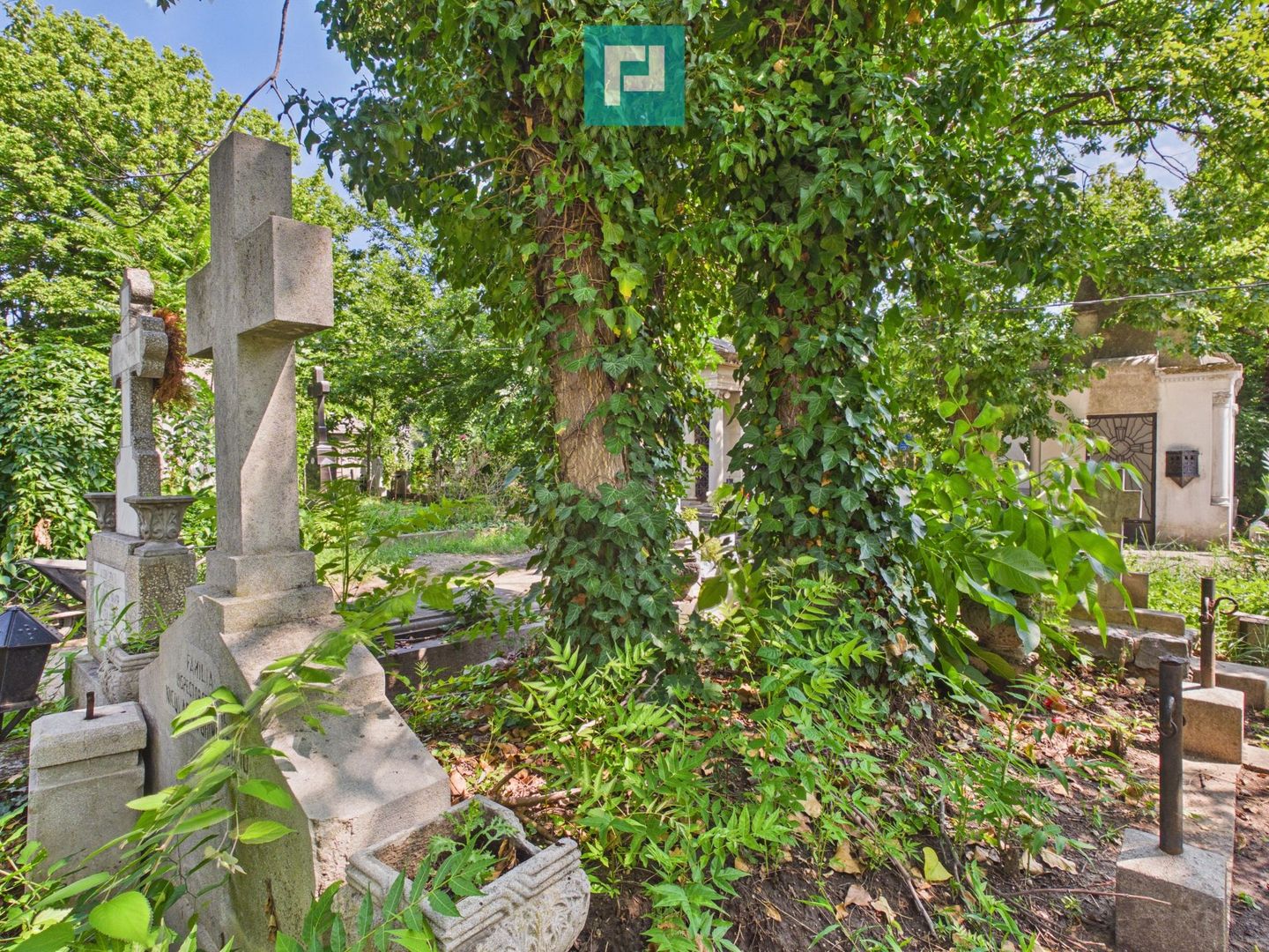 Loc de veci, cimitir Bellu,  Bucuresti - Poză 4