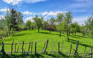 Teren 15.856 mp în Bran Sohodol | Ideal dezvoltare turistică - Poză 6