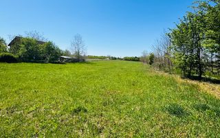 Teren intravilan 3800 mp Alparea lângă pădure - Poză 1