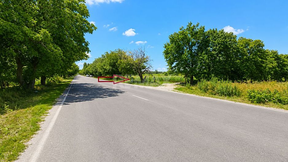 Teren pentru construcții – 24 ari | Prima linie | Chetrosu, Anenii Noi - Poză 5