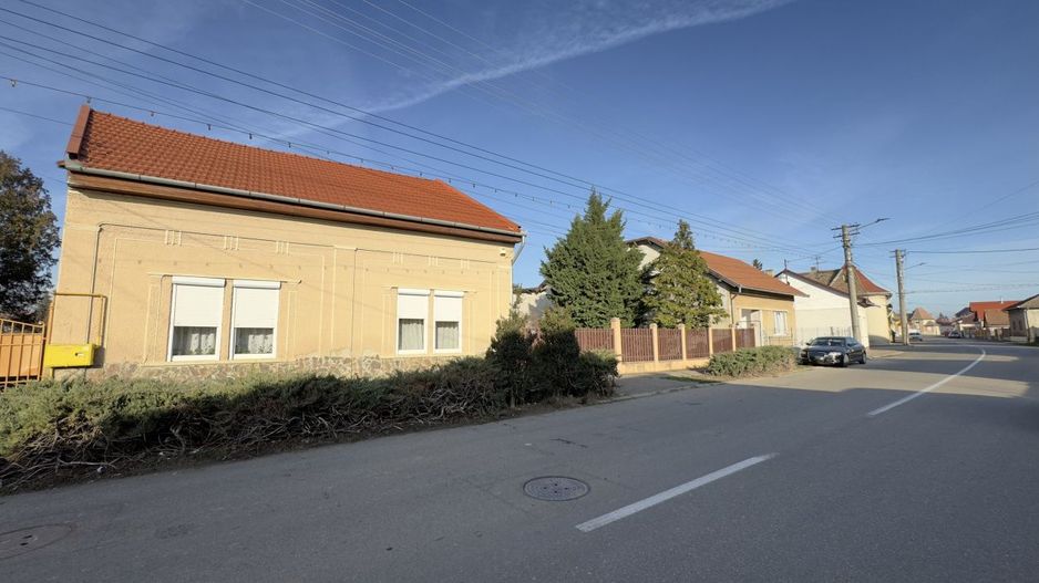 Casă 4 camere cu Teren 2.974 mp | Rezidență sau afacere | Carei - Poză 11